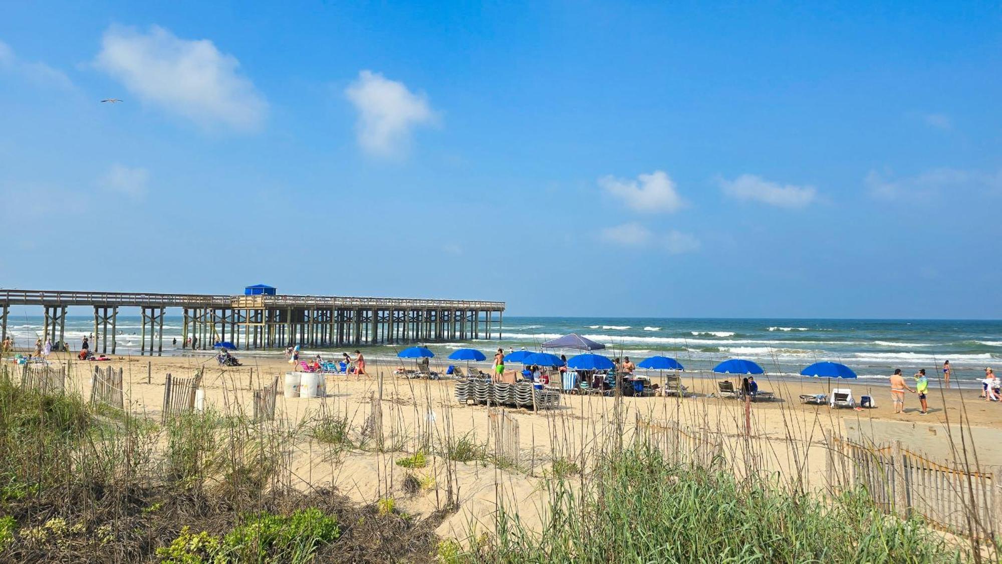 Herons Haven Coastal Elegance With Pool Access 223 South Padre Island Exterior foto